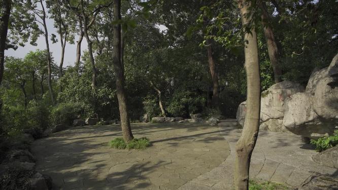 杭州凤凰山景区万松书院景点实拍视频