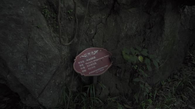杭州凤凰山景区万松书院景点实拍视频