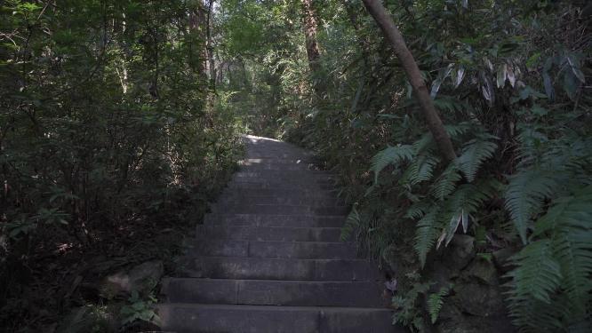 杭州凤凰山景区万松书院景点实拍视频
