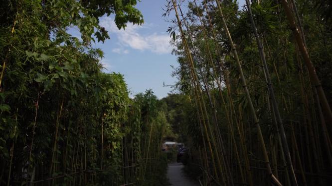 杭州凤凰山古梵天寺经幢实拍视频