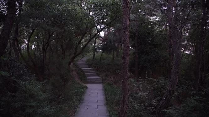 杭州凤凰山凤凰亭晚霞实拍视频