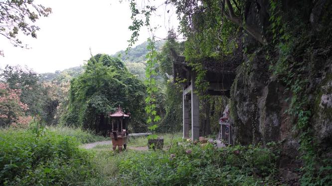 杭州凤凰山凤凰池实拍视频