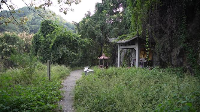 杭州凤凰山凤凰池实拍视频