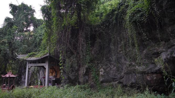 杭州凤凰山凤凰池实拍视频