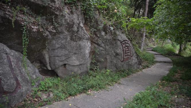 杭州凤凰山凤凰池实拍视频