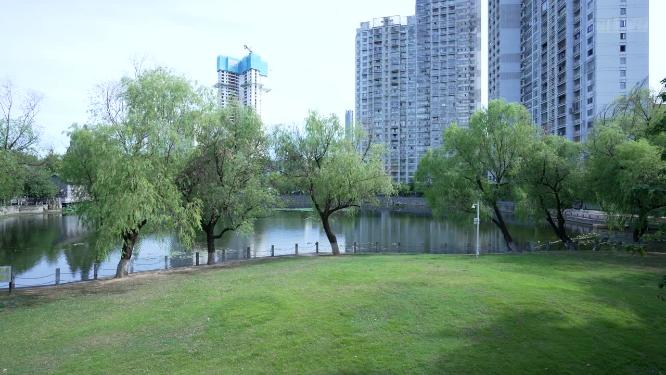 武汉汉阳区莲花湖公园实拍视频