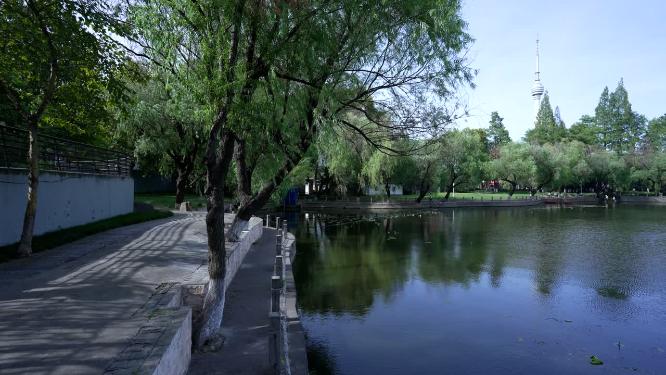 武汉汉阳区莲花湖公园实拍视频
