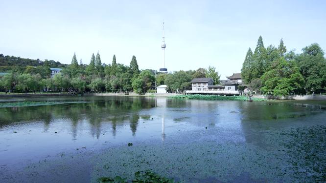 武汉汉阳区莲花湖公园实拍视频