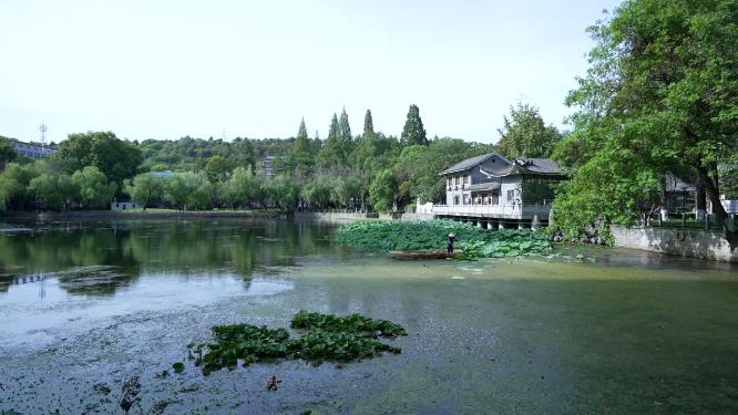 武汉汉阳区莲花湖公园实拍视频