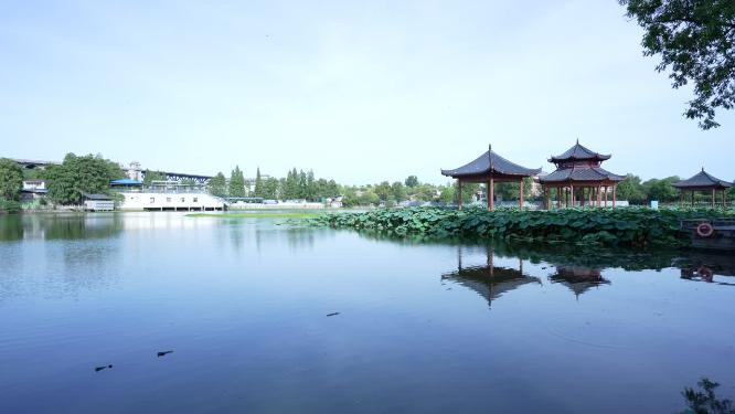 武汉汉阳区莲花湖公园实拍视频