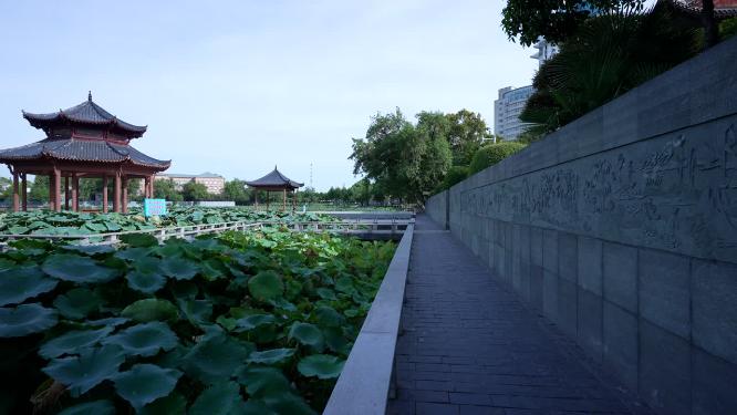 武汉汉阳区莲花湖公园实拍视频
