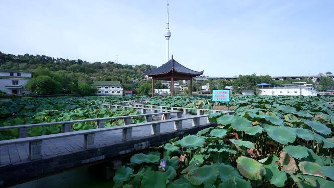 武汉汉阳区莲花湖公园实拍视频