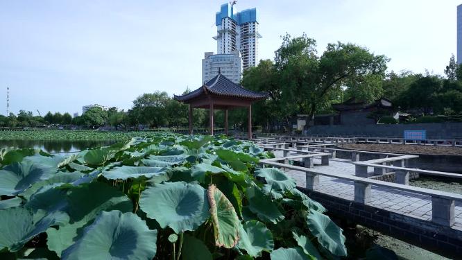 武汉汉阳区莲花湖公园实拍视频