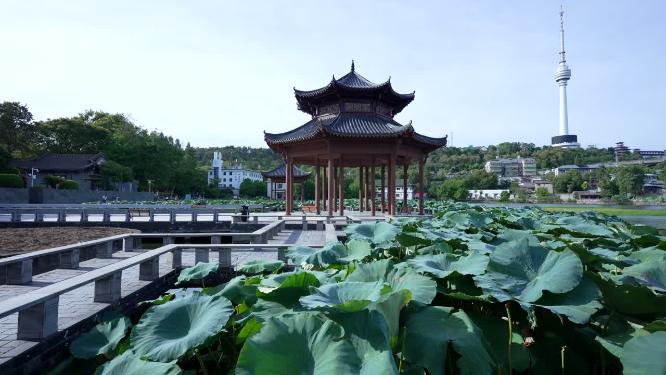 武汉汉阳区莲花湖公园实拍视频