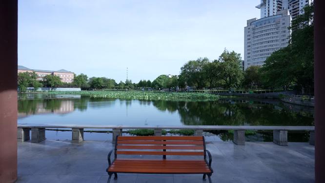 武汉汉阳区莲花湖公园实拍视频