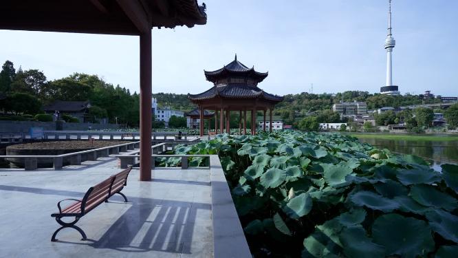 武汉汉阳区莲花湖公园实拍视频