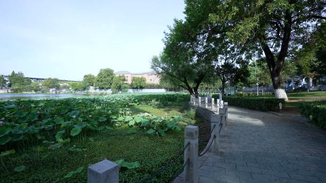 武汉汉阳区莲花湖公园实拍视频