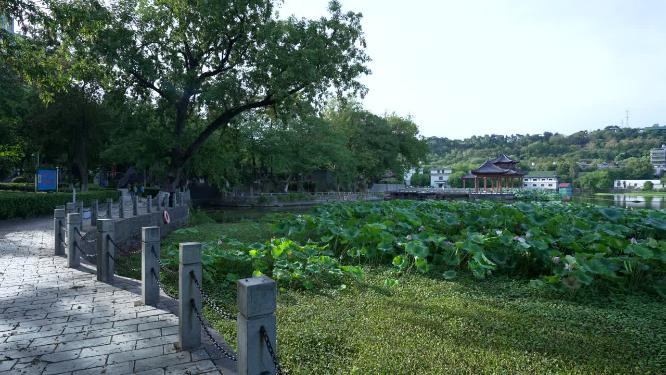 武汉汉阳区莲花湖公园实拍视频