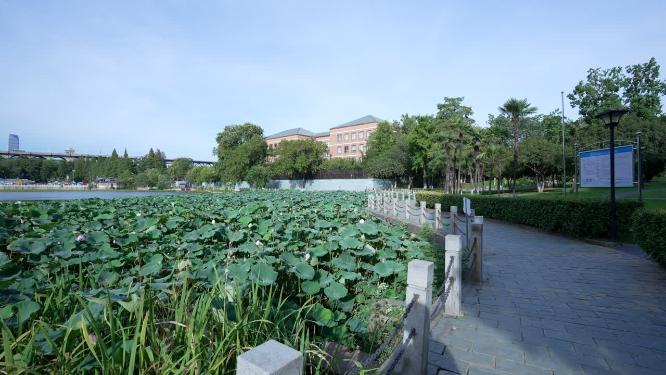 武汉汉阳区莲花湖公园实拍视频