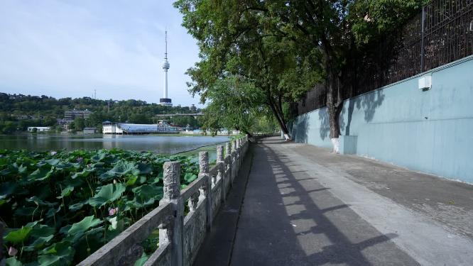 武汉汉阳区莲花湖公园实拍视频