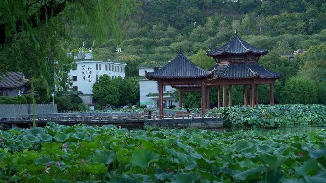 武汉汉阳区莲花湖公园实拍视频