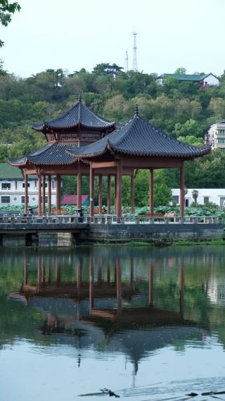武汉汉阳区莲花湖公园实拍视频