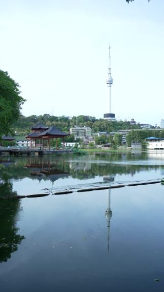 武汉汉阳区莲花湖公园实拍视频
