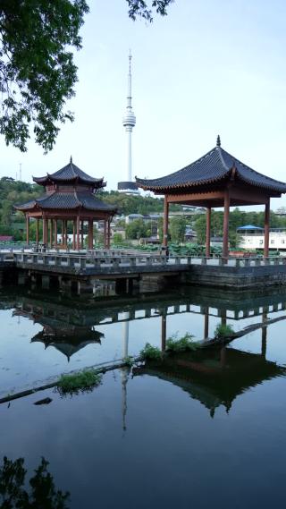 武汉汉阳区莲花湖公园实拍视频