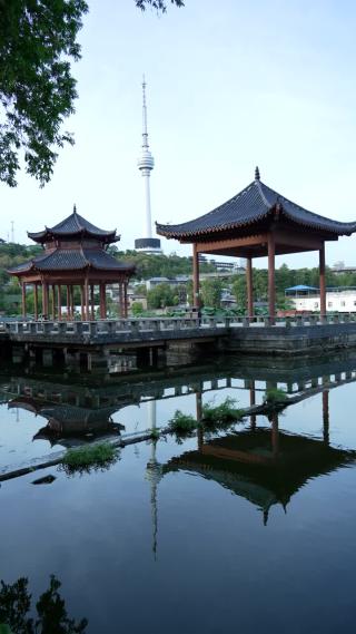 武汉汉阳区莲花湖公园实拍视频
