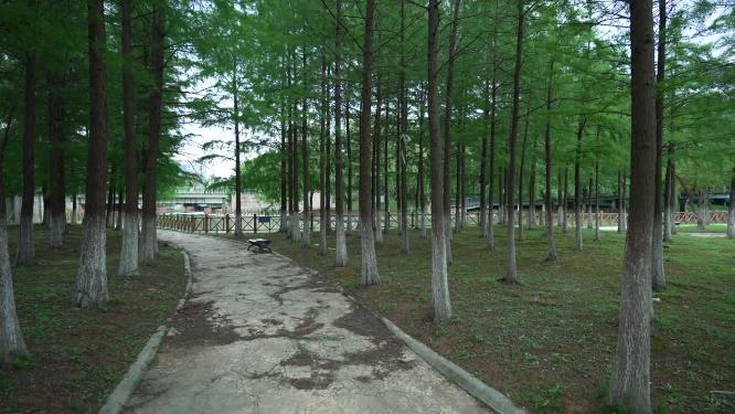 武汉汉阳区新区公园实拍视频