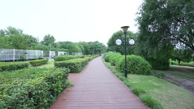 武汉汉阳区月湖风景区实拍视频
