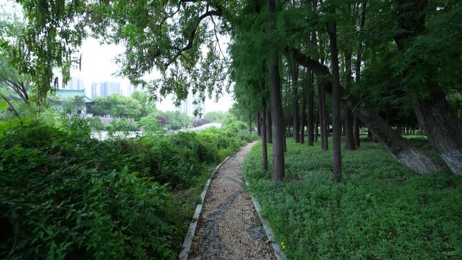 武汉汉阳区月湖风景区实拍视频