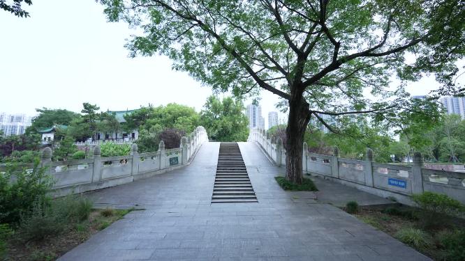 武汉汉阳区月湖风景区实拍视频