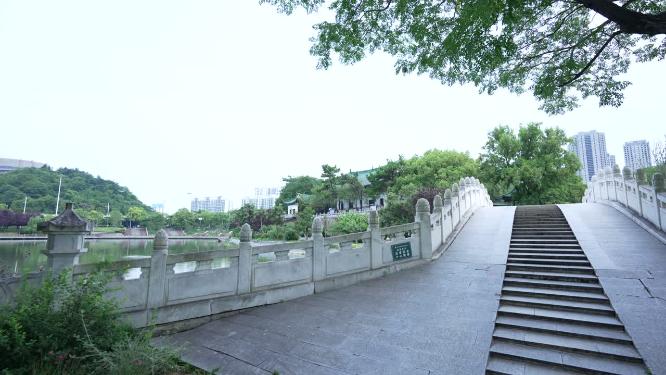 武汉汉阳区月湖风景区实拍视频