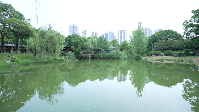 武汉汉阳区月湖风景区实拍视频