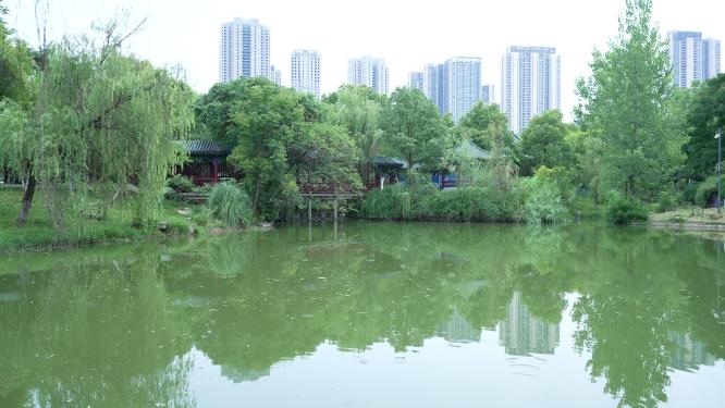 武汉汉阳区月湖风景区实拍视频