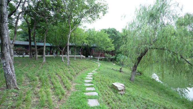 武汉汉阳区月湖风景区实拍视频