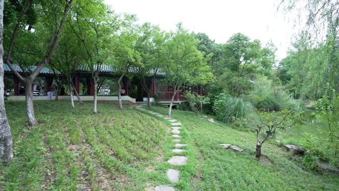 武汉汉阳区月湖风景区实拍视频