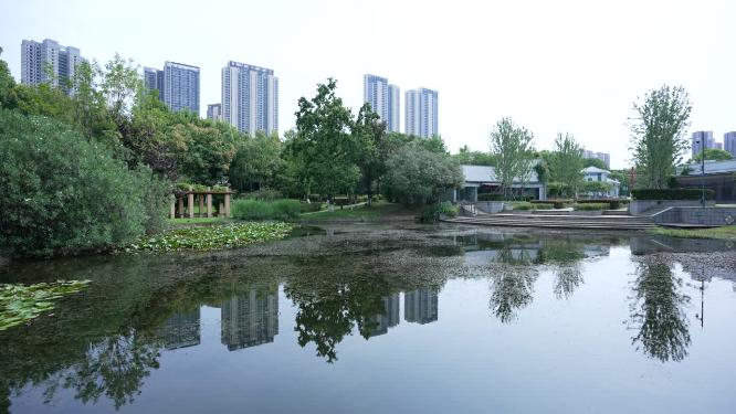 武汉汉阳区月湖风景区实拍视频