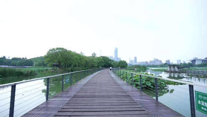 武汉汉阳区月湖风景区实拍视频