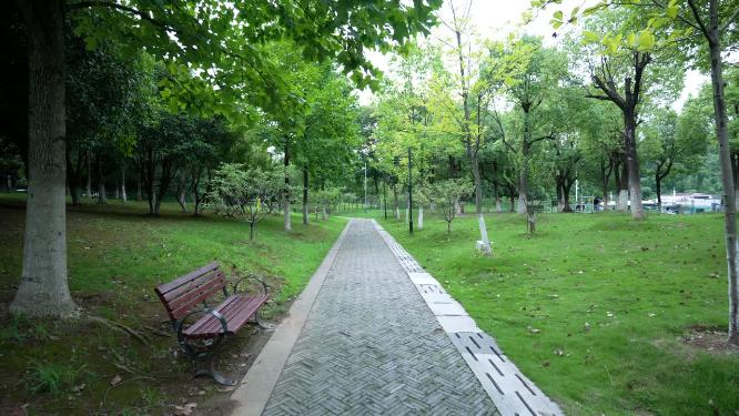 武汉汉阳区新区公园实拍视频