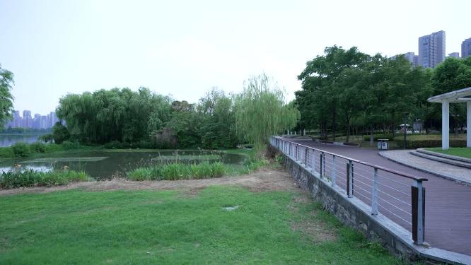武汉汉阳区墨水湖公园实拍视频