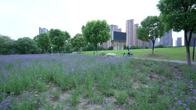 武汉汉阳区墨水湖公园实拍视频