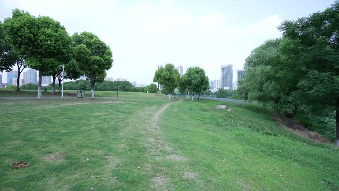 武汉汉阳区墨水湖公园实拍视频