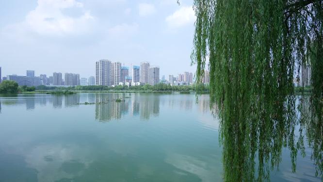 武汉汉阳区墨水湖公园实拍视频