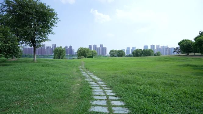 武汉汉阳区墨水湖公园实拍视频