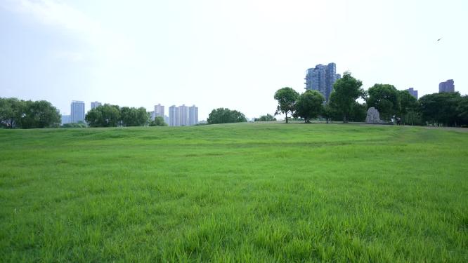 武汉汉阳区墨水湖公园实拍视频