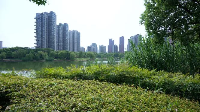 武汉汉阳区墨水湖公园实拍视频