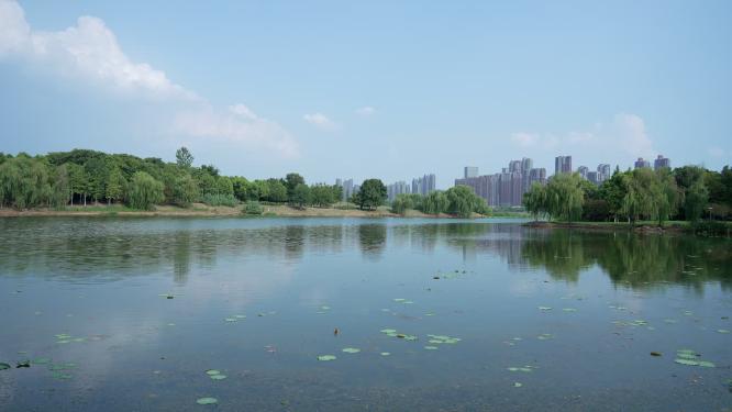 武汉汉阳区墨水湖公园实拍视频