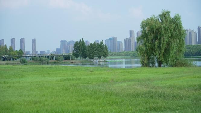 武汉汉阳区墨水湖公园实拍视频